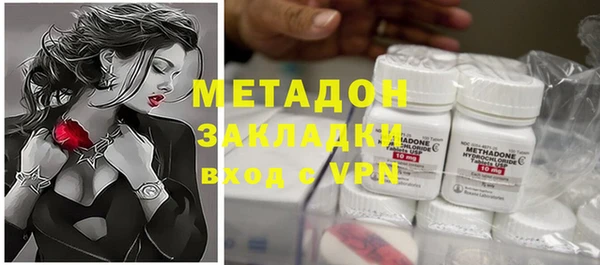 прущие грибы Вязьма