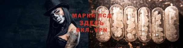 ешки Каменногорск