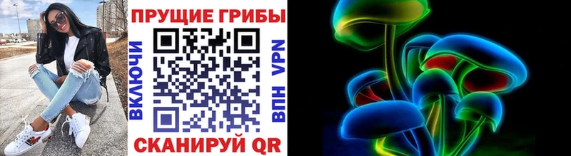 блэк спрут   Фёдоровский  Псилоцибиновые грибы прущие грибы 